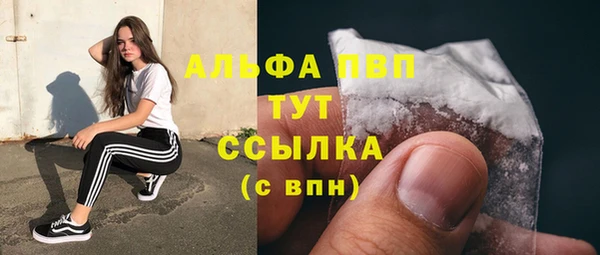 ECSTASY Липки