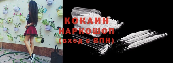 крисы Слюдянка