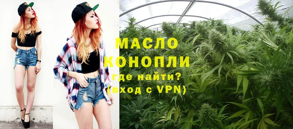 гидра Магас