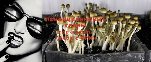 ECSTASY Липки