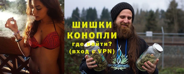 гидра Магас