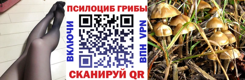 МЕГА ССЫЛКА  Бугульма  Галлюциногенные грибы Psilocybine cubensis 
