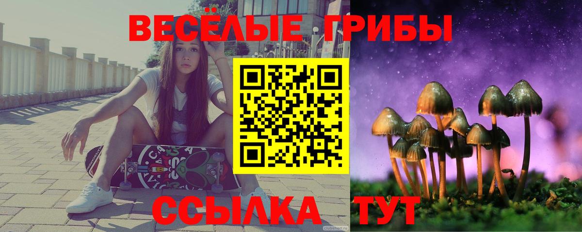 Гашиш  Cocaine  Бугульма  Мефедрон кристаллы  Где купить  Мефедрон  Вход с VPN  Кодеин 