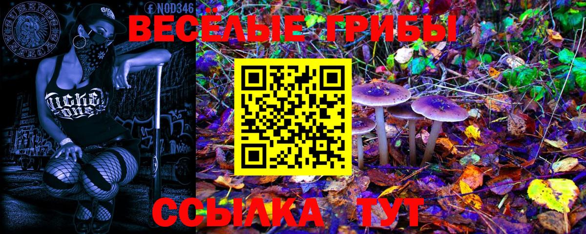 Галлюциногенные грибы Cubensis  Псилоцибиновые грибы Psilocybe  Вход с VPN  Бугульма 