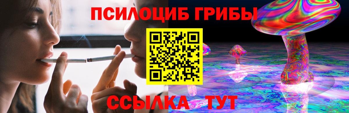 Галлюциногенные грибы MAGIC MUSHROOMS  магазин продажи   Бугульма 